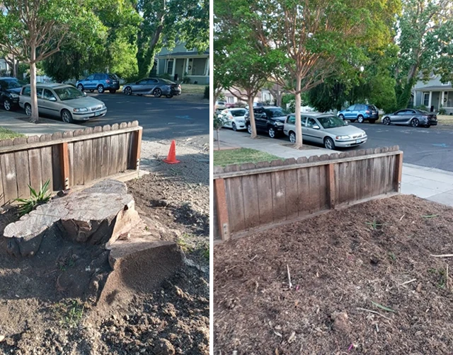 Stump Grinding